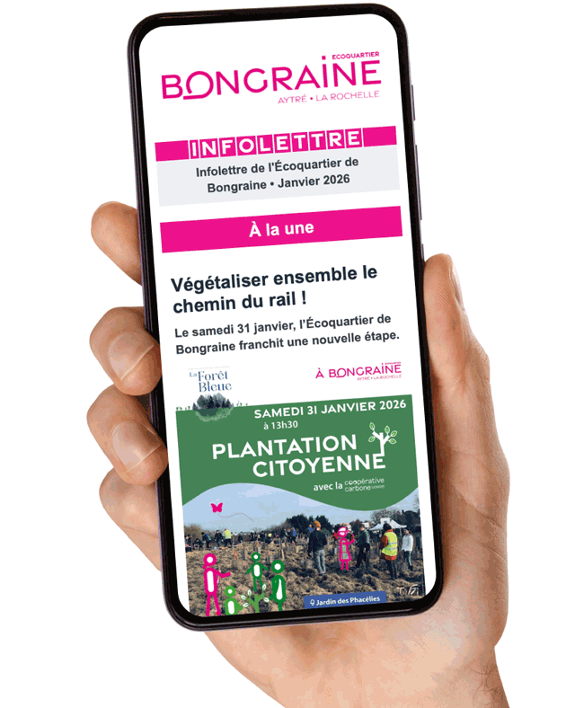 infolettre ecoquartier bongraine